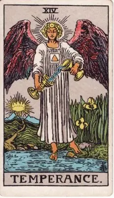 Tarot Card: The Fool