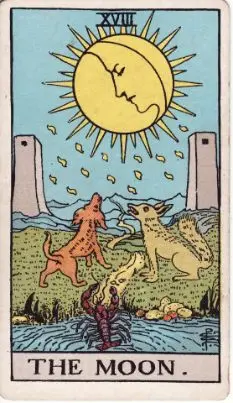 Tarot Card: The Fool