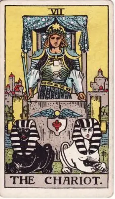 Tarot Card: The Fool