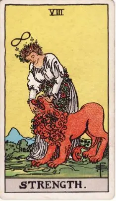 Tarot Card: The Fool