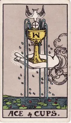 Tarot Card: The Fool
