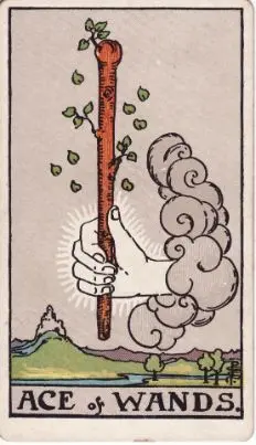 Tarot Card: The Fool