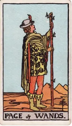 Tarot Card: The Fool