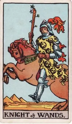 Tarot Card: The Fool
